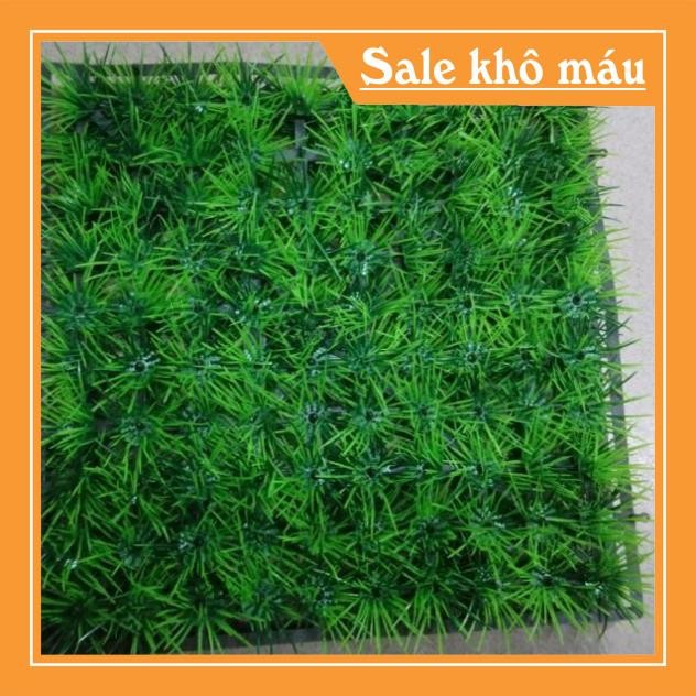 Thảm cỏ nhựa , cỏ nhân tạo (5 tấm)