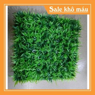 Thảm cỏ nhựa , cỏ nhân tạo (5 tấm)