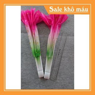 Quạt múa pha màu (1 đôi)