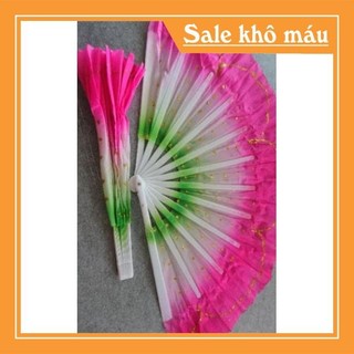 Quạt múa pha màu (1 đôi)
