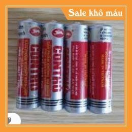 đồ chơi cá heo chạy pin