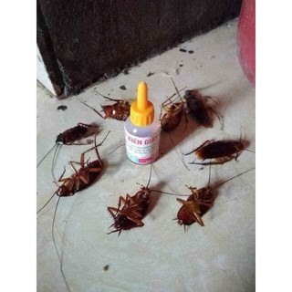 (Combo ****10) Lọ Dung Dịch Diệt Kiến - Gián