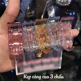 【COMBO 2/5/10 CÁI】 Kẹp tóc càng cua nhiều màu (gmin)