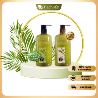 Dầu gội xả chiết xuất trà xanh dành cho tóc dầu giảm dầu bết HACHI Purifying 350,500,800ml