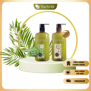 Dầu Gội, Xả chiết xuất  bưởi hỗ trợ tóc gãy rụng và mọc tóc Hachi Regenerating 350,500,800ml