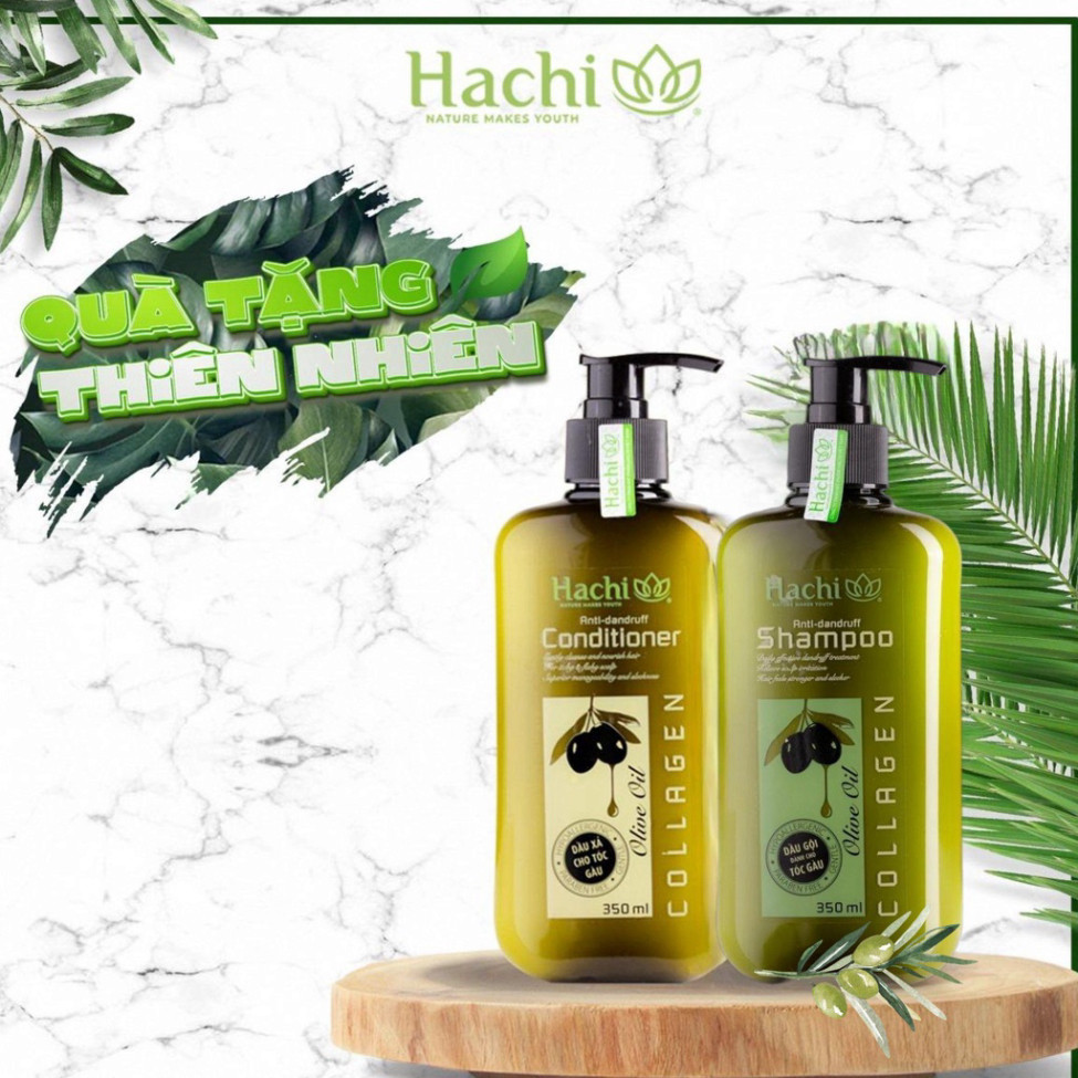Dầu Gội, Xả Hachi Anti-Dandruff dành cho tóc gàu chiết xuất từ Olive hỗ trợ giảm gàu ngứa