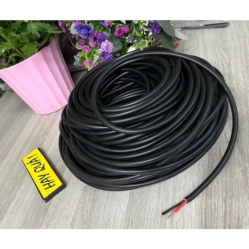 Dây Loa Nhật 2.5mm2
