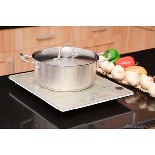 Bếp từ Kangaroo KG419i