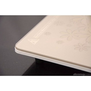Bếp từ Kangaroo KG419i