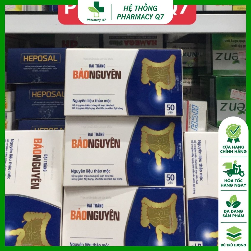 Đại Tràng Bảo Nguyên [Hộp 50 viên]