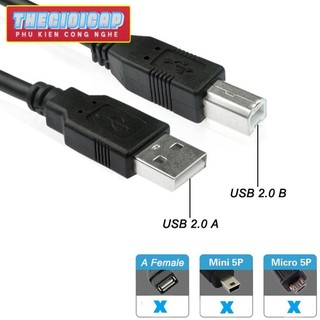 Dây máy in cổng USB 3m - Cáp máy in 3m