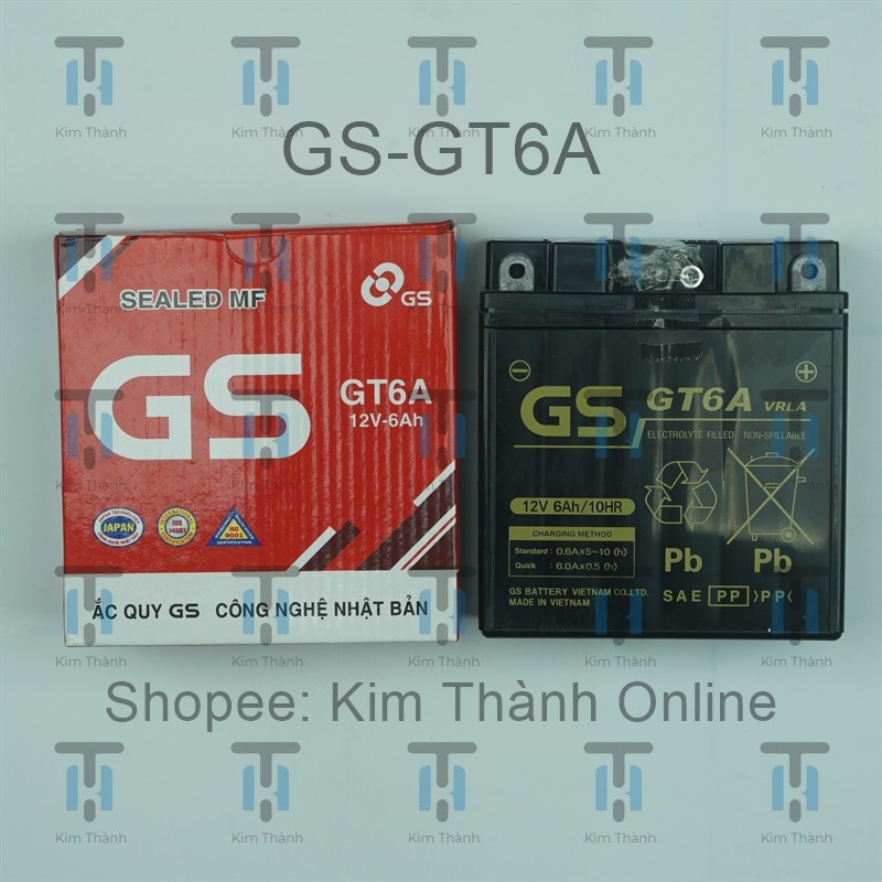 Bình ắc quy/ Bình điện GS