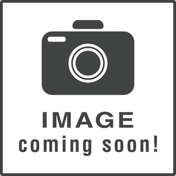 Piston STD Elizabeth Fi SYM _ 13101-VUA-0001