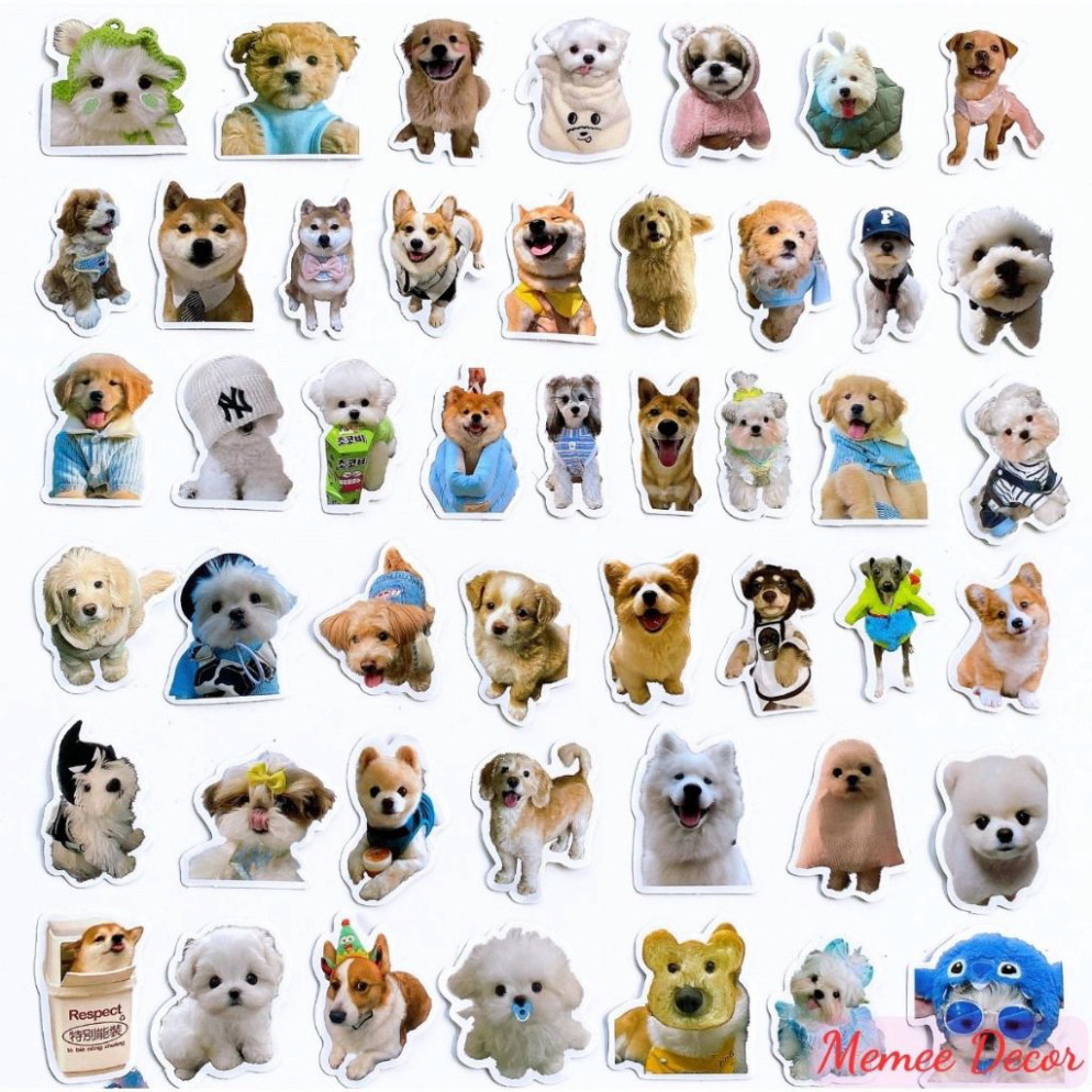 Combo 50 Sticker Meme Mèo, 50 Sticker Meme Chó Cute Hình Dán Đáng Yêu 091 102