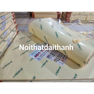 Nệm caosu non 1m4x2mx10cm Thắng Lợi