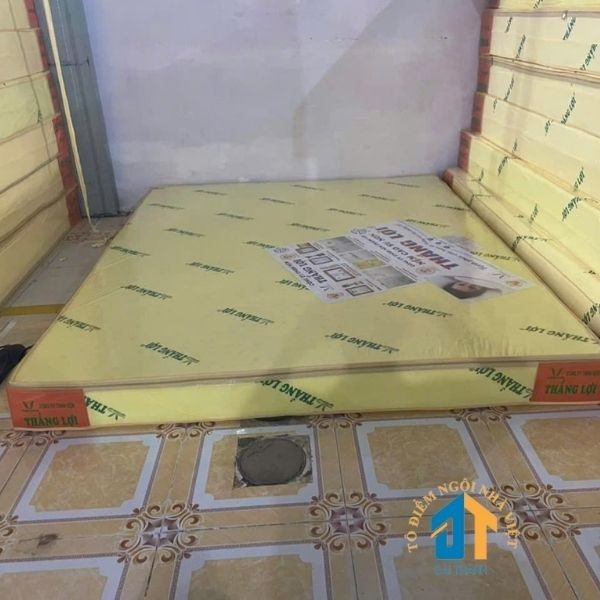 Nệm 1m2x2mx10cm caosu non Thắng Lợi