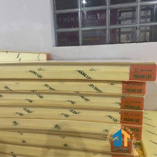 Nệm 1m2x2mx10cm caosu non Thắng Lợi