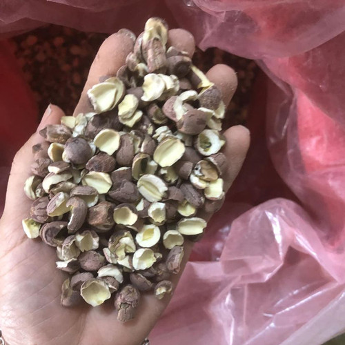 hạt sen đỏ khô gói túi 1kg