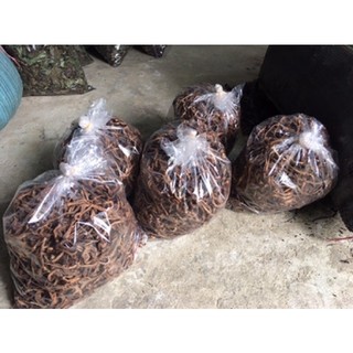 Cốt toái bổ khô đóng túi 1kg