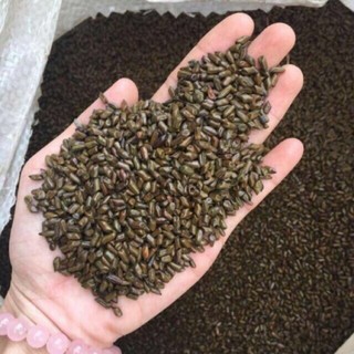 Hạt muồng xúc cát cho bé túi 1kg