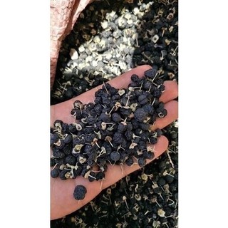 hắc kỳ tử tây tạng túi 500gram