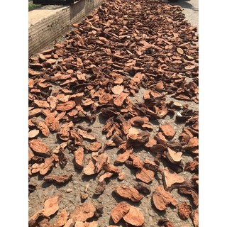 Hà Thủ Ô Đỏ Đã Sơ Chế 1Kg