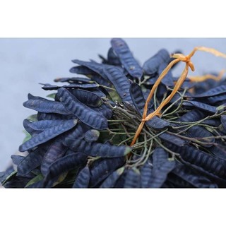 quả bồ kết khô sỉ túi 1kg
