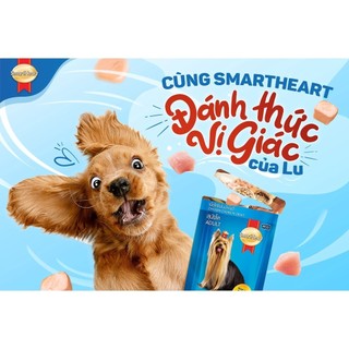 Pate cho chó SmartHeart  120g & 130g (Date xa - Đủ vị) (6 VỊ MỚI)