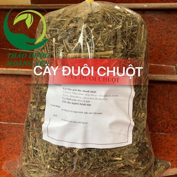 cây đuôi chuột 1kg