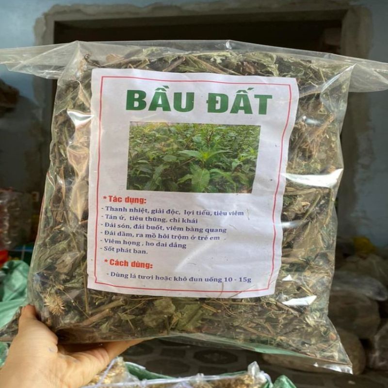 cây bầu đất khô túi 1kg 500gram