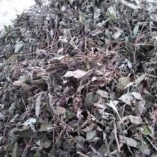 cây bầu đất khô túi 1kg 500gram