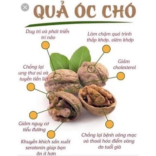 quả óc chó nếp gói túi 1kg