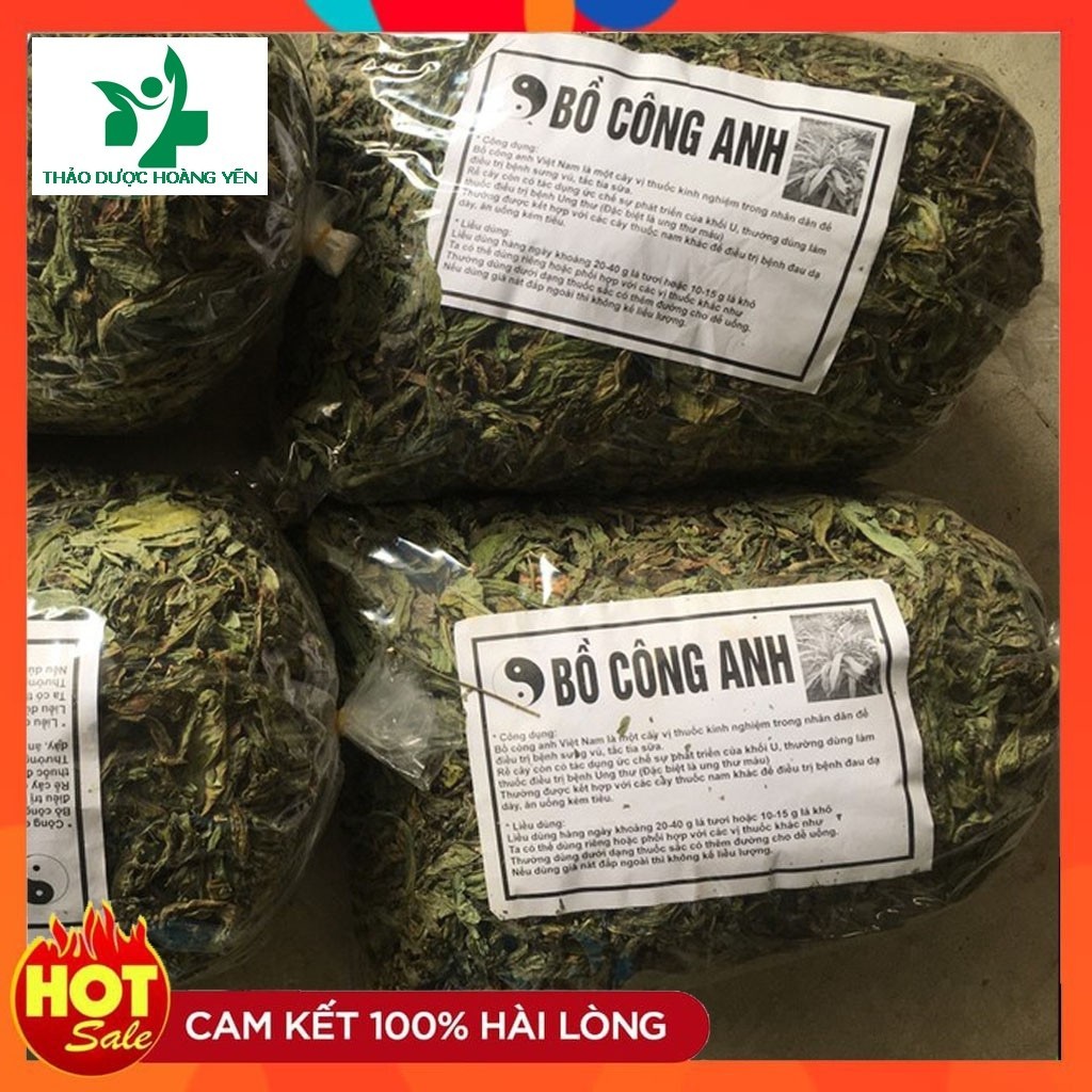 100gram bồ công anh sấy khô