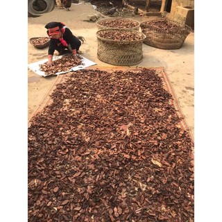 1Kg Hà Thủ Ô Đỏ Đã Sơ Chế