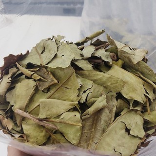 lá vối nếp phơi khô túi 1kg