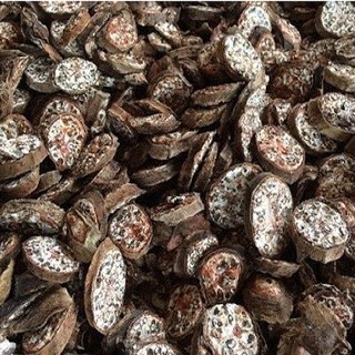 chuối hột rừng khô túi 1kg