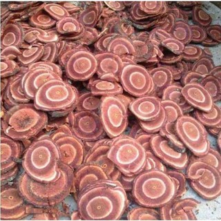 cây cỏ máu khô ( cây huyết đằng )