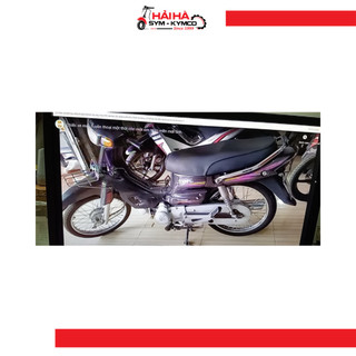 Phuộc sau M51 [1 cặp] [Chính hãng SYM]