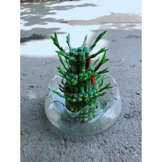 Trúc Phát Tài 3 Tầng