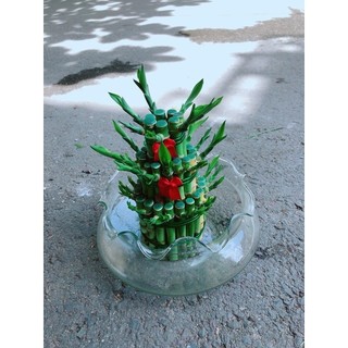 Trúc Phát Tài 3 Tầng