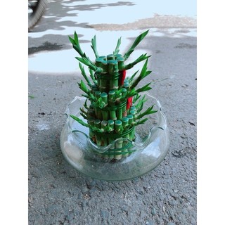 Trúc Phát Tài 3 Tầng
