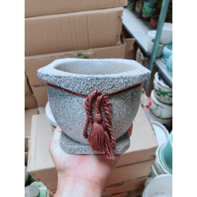 Chậu Trồng Cây
