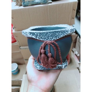 Chậu Trồng Cây