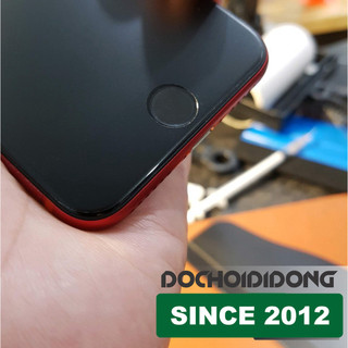 Miếng dán PPF IPhone SE 2020 trong, nhám, đổi màu cao cấp