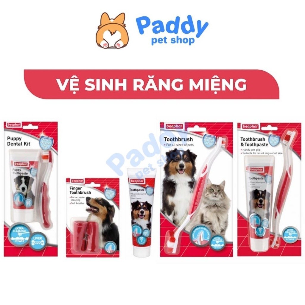 Set Vệ Sinh Răng Miệng Chó Mèo Beaphar (Nhập khẩu Hà Lan)