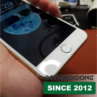 Miếng dán PPF IPhone 6 PLus trong, nhám, đổi màu cao cấp