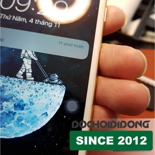 Miếng dán PPF IPhone 6 PLus trong, nhám, đổi màu cao cấp