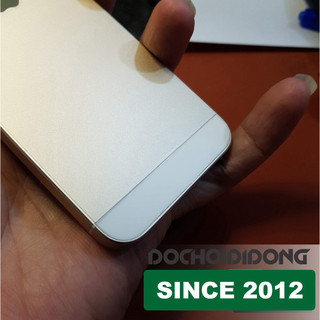 Miếng dán PPF IPhone 5s trong, nhám, đổi màu cao cấp