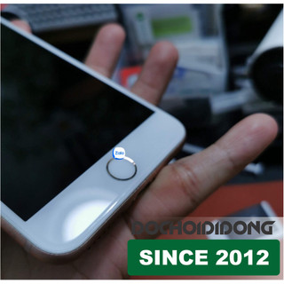 Miếng dán PPF iPhone 8 Plus trong, nhám, đổi màu cao cấp