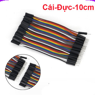 Dây bus 2.54 đủ màu 10 - 40cm ( 40 sợi 1 bus)